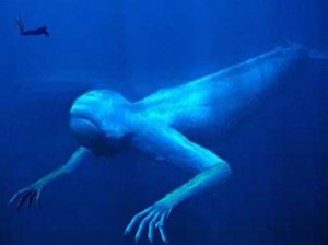 ningen